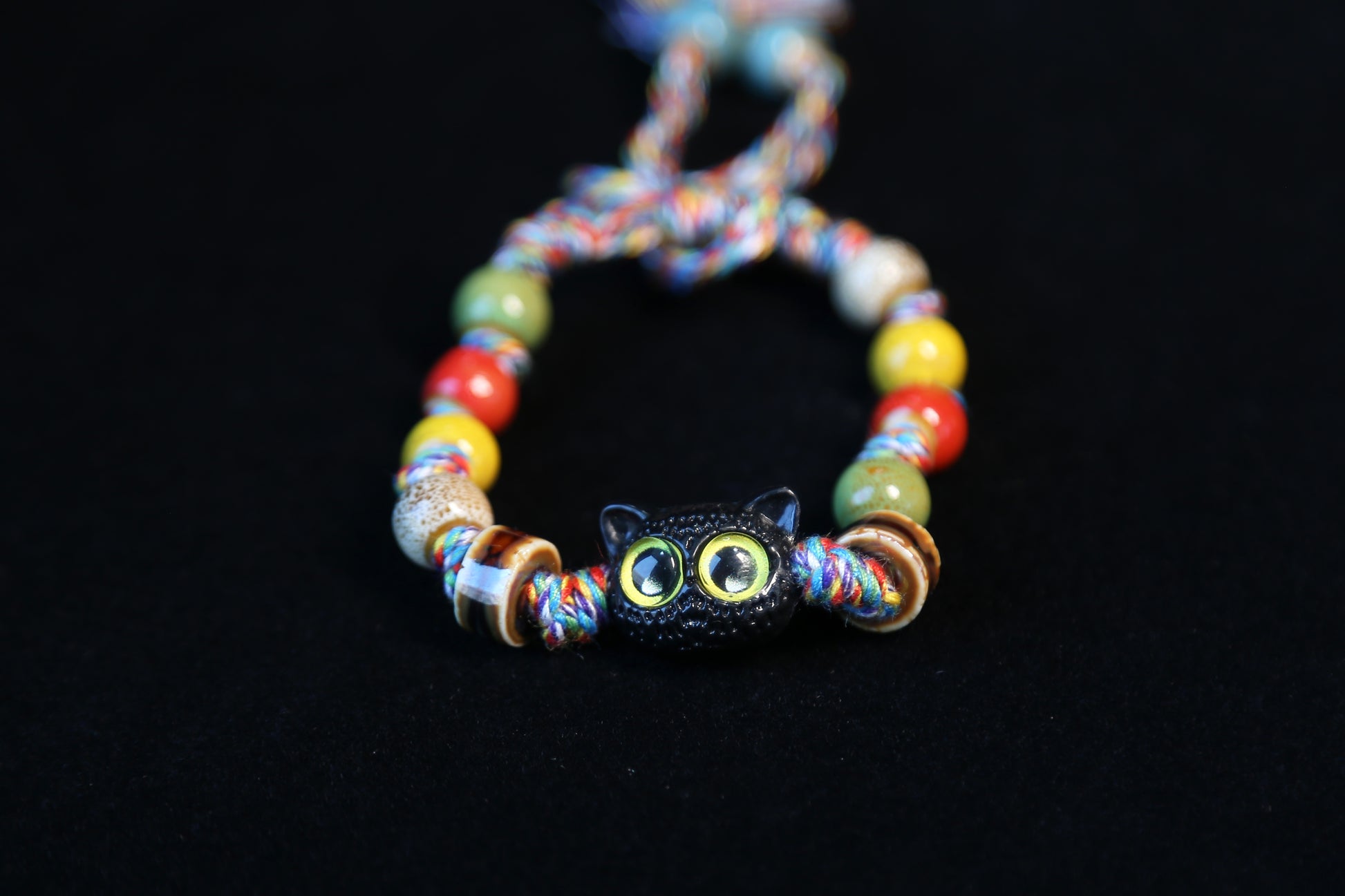 彩喵Colorful Cat